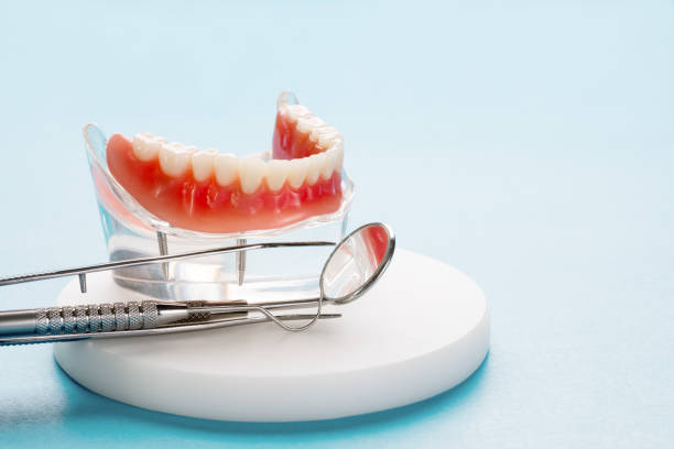 Professional  Holistic Dental Services in Shorewood Forest, IN